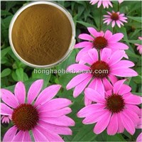HHHerb 100% natural 4% polyphenols echinacea extract