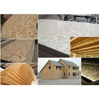 High quality OSB/Oriented Strandboard for construction