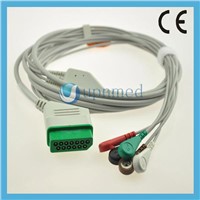 Nihon Kohden 5 lead ECG Cable with leadwires,12pin