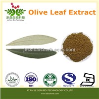 Olive Leaf Extract