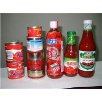 Tomato Ketchup/Mayonnaise/Sauce Plant