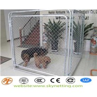 Chain Link Animal Cage ISO9001,SGS