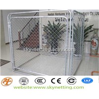 hot dipped gi 6ftx5ft welded mesh dog wire kennel