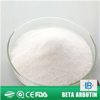 natural skin care raw material beta arbutin 99% powder,bearberry extract
