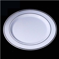 Plastic Plate with Silver Rim