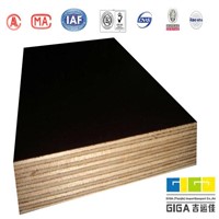 GIGA poplar construction material  film faced plywood