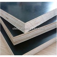 poplar core black film faced plywood 1220x2440mm