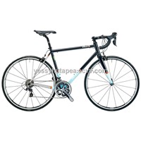 Genesis Volare Team 2014 Road Bike