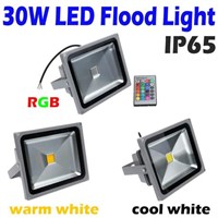 30W LED Flood Light Warm White RGB Remote Control led Floodlight Outdoor Landscape Lighting