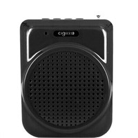 A817 high voice Portable Amplifier Supports FM Radio USB/T-flash Card Music Playing