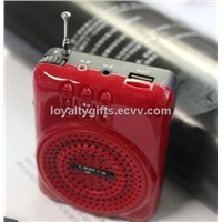 A818 Mini Personal Amplifier with FM Radio, MP3 Function and Line-in Function for iPad/iPhone
