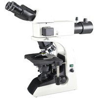 BS-2070F(LED) Fluorescent Biological Microscope