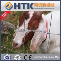 Best Selling Galvanized Goat farm fence