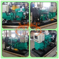 CE Approved 30KW biogas generator set