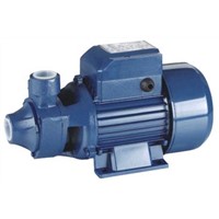Peripheral pump clean water pump