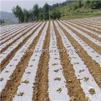 Compostable and Biodegradable Mulch Film for Agriculture