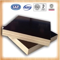 GIGA poplar melamine hardwood grades ply sheets/plywood floors