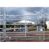 Germany style oval pipe Galvanized horse fence