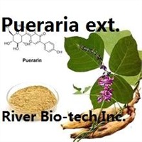 Natural Kudzu Root ( Pueraria) extract with 40% isoflavones