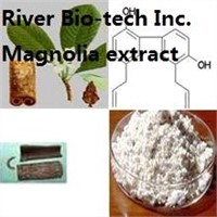 Natural Magnolia extract with Magnolol Honokiol