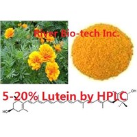 Natural Marigold extract with 20% Lutein