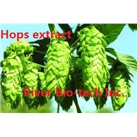 Natural herbal extract of Hops flower extract