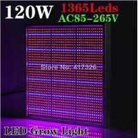 New Arrival 120W High Power LED Grow Light for Flowering Plant and Hydroponics 85-265V