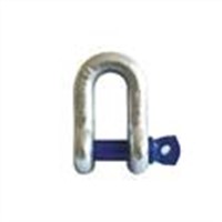 Screw Pin Chain Shackle (T8)