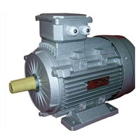 Y2 Three Phase Ac Motor