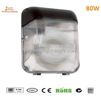 outdoor ceiling lamp light 40w 60w 80w Downlights