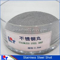 stainless steel shot from China
