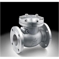 titanium check valve