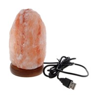 1PC Natural Hand Carved USB Wooden Base Himalayan Crystal Rock Salt Lamp Air Purifier Night Light W315
