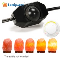 LumiParty LED 110V 7W Bulb E12 Socket 2 Packed Natural Himalayan Salt Lamp Original Replacement Cord with Dimmer Switch