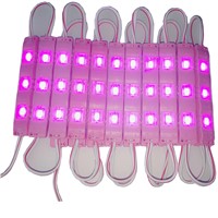 3ea LED beads LED plastic module for advertising LED screen pink light samples support ,10pcs/lot