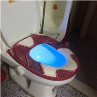 Sensor Bathroom Toilet Night Light LED Lamp Human Motion Activated Toilet Bowl Light PIR 8 Colours Automatic RGB Night Lighting