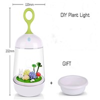 DIY Plant Butterfly and Rabbit Night Light  Baby Sleep Safe Night Lighting Amazing Gifts for Kids