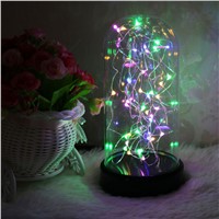 DELICORE Firework String Night Lights LED Fairy Lights Battery Operated Christmas Wedding decora Table Lamp Gift for Kids S086-M
