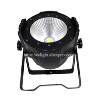 100W LED COB Par Light High power stage studio Parcan Cold white/warm white Wash Stage Lighting