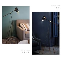 Modern minimalist floor lamp Nordic living room bedroom bedside study three feet led adjustable floor lights FG409