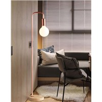 Black / red copper two Nordic minimalist modern fashion wrought iron floor lamp bedroom living room study floor lamp FG410