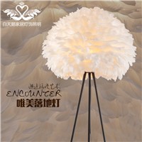 The A1 fashion design Unique personality wedding room warm living room lamp room bedroom bedside lamp feathers Floor Lamps ZA ZA