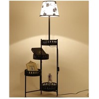 Shelving. Floor lamp..