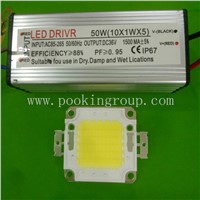 10W 20W 30W 50W High Power COB LED Lamp Beads Power Chips Bulb with LED Driver for  Floodlight Spot light Lawn