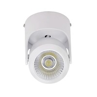 Led COB Ceiling Spot light 10W 20W 360 degree rotating Surface mounted LED Downlight 110/220V Warm White/ white