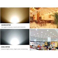 LED Downlight 3W 5W 7W 2835 SMD AC220V 240V Warm White Cold White LED Downlights Led Lights For Home Indoor Lighting LED Lamp