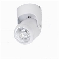 10W 20W AC 85-265V Spot light Surface Mounted White / Warm White Ceiling Lamp 180 Degree Rotation Led Downlights Super Bright