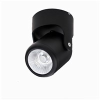 Led COB Ceiling Spot light 10W 20W 360 degree rotating Surface mounted LED Downlight 110/220V Warm White/ white