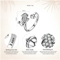 Squirrels Nut Design Open Finger Ring Clear Zircon Sterling Silver  Rings For Women Jewelry