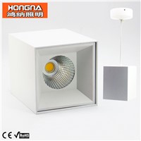 AC110-220V 20W 30W LED Downlights High Lumen COB Light Source Surface Mounted Downlight Hanging Downlights